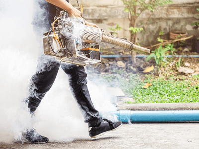 About Clean Shield - Bird Control experts in Highgate
